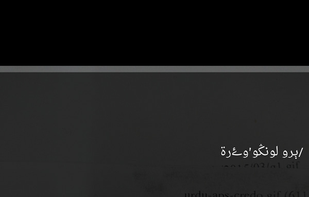 English to Urdu Dictionary screenshot 2