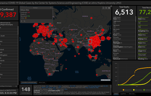 Coronavirus COVID-19 Global Cases screenshot 1