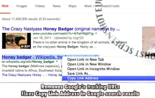 Fix Copy Link Address screenshot 1