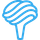 Cerebria Tech icon