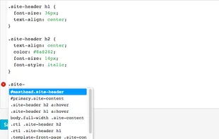 SiteOrigin CSS screenshot 1