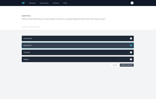 User Taking Exam Practice Test