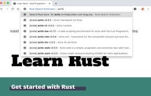 Rust Search Extension screenshot 2