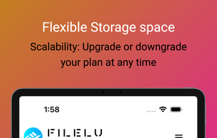 Filelu screenshot 1