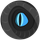 RockRaptor icon