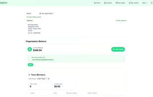 One balance for the whole organization