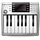 PianoPub icon