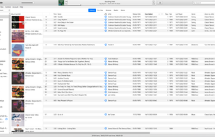 Personal library Song view. Multiple sorting options available on top and nested playlist folders at the left. Album icons can be hidden too