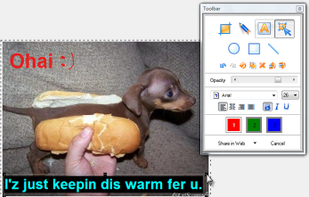 The window where you can edit your screenshot