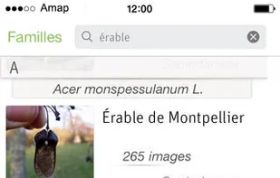 Pl@ntNet screenshot 1