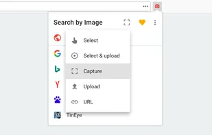 Search by Image screenshot 2