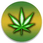 Leaf Guide icon