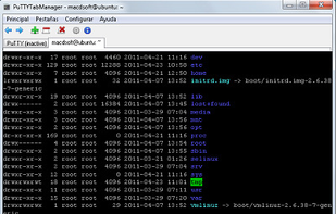 Putty Tab Manager screenshot 1