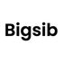 Bigsib icon