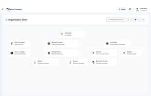 A clean, visual organization chart displaying company hierarchy and reporting relationships for better team visibility.