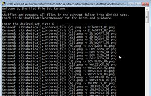 Shuffled File Set Renamer screenshot 3