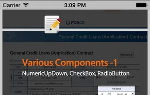 OZ e-Form screenshot 3