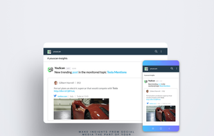 YouScan screenshot 2