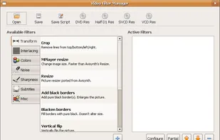 Video filter manager