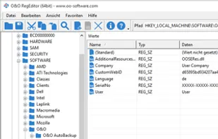 O&O RegEditor screenshot 1