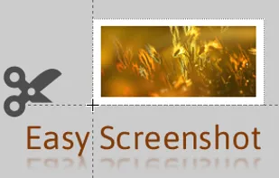 Capture selected area