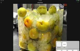 Illustail screenshot 3