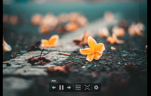 WidsMob PhotoVault screenshot 3