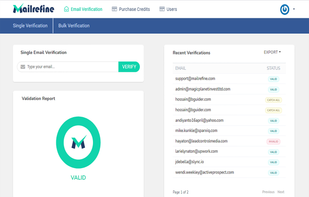Single Email Verification
