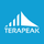 Terapeak icon