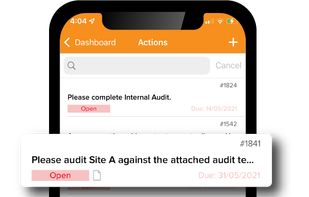Lucidity Software screenshot 1