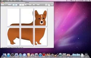SplitPrint screenshot 1