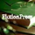 FictionPress icon