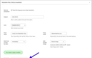 Newsletter Glue screenshot 2