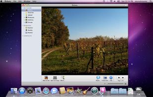 Flickery screenshot 1