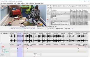 ELAN screenshot 3
