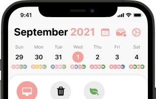 Structured screenshot 2
