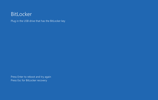 Windows BitLocker screenshot 1
