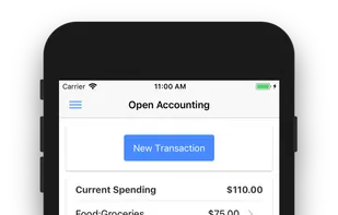 Open Accounting screenshot 1
