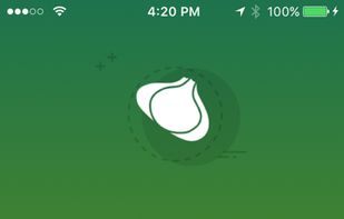 Bulbapedia screenshot 1