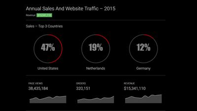 Sales & Website Traffic Dashboard Sample