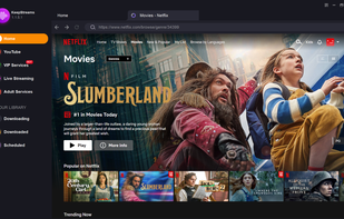 KeepStreams Video Downloader screenshot 2