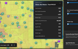 Demographic details of an area in USA
