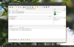 BeeBEEP screenshot 2