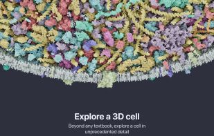 CellWalk screenshot 1