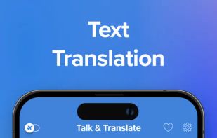 Talk & Translate screenshot 2