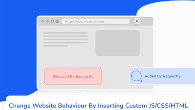 Inject Custom JS/CSS