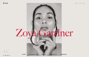 Online stores for influencers