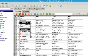 Data view hints displaying information about columns.