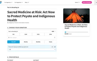 Donation screen for a campaign