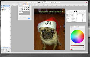 Seashore screenshot 1